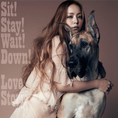 Sit!Stay!Wait!Down Love Story