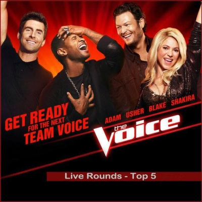 美国之声(The Voice) 2013 June 10 Live Performances Top 5