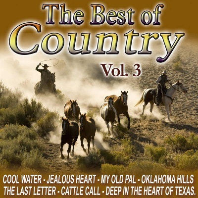 The Best Of Country Hits Vol. 3