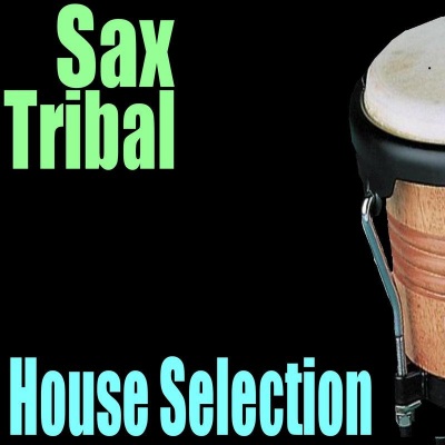 Sax Tribal - House Selection