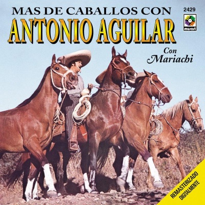 Mas Caballos