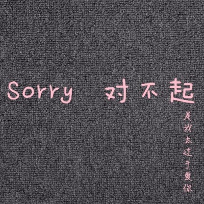 Sorry 对不起