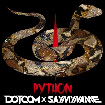 PYTHON