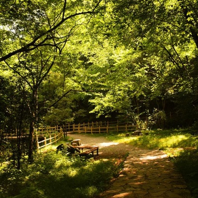 远芳侵古道