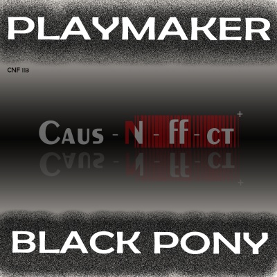 Black Pony