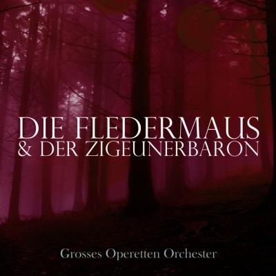 Strauss: Die Fledermaus & Der Zigeunerbaron