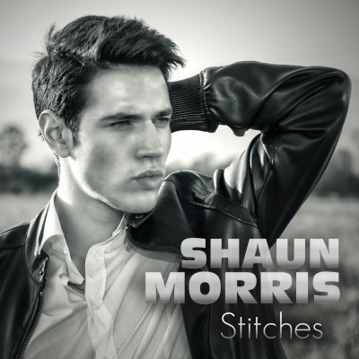 Stitches