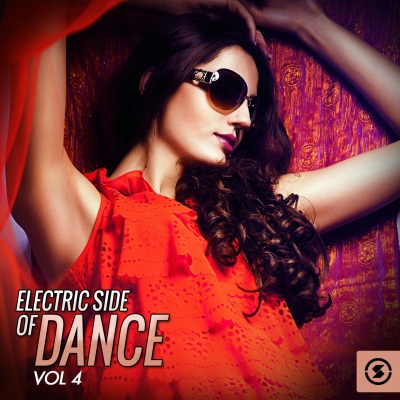 Electric Side of Dance, Vol. 4