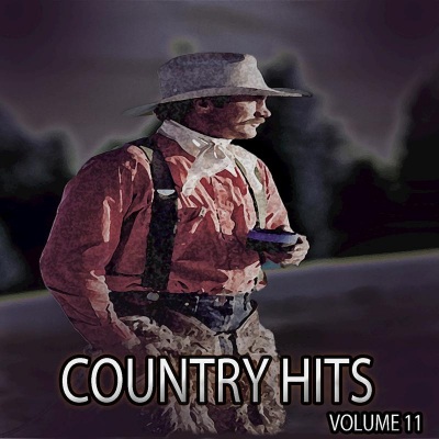 Country Hits, Vol. 11