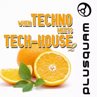 When Techno Meets Tech-House Vol. 2