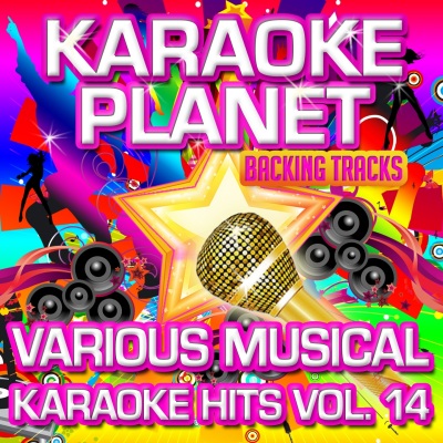 Various Musical Karaoke Hits, Vol. 14 (Karaoke Planet)