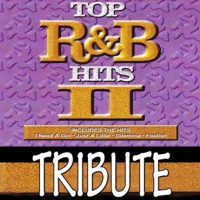 Dubble Trubble Tribute to Top R&B Hits, Vol 2