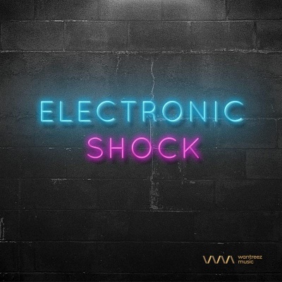 Electronic Shock