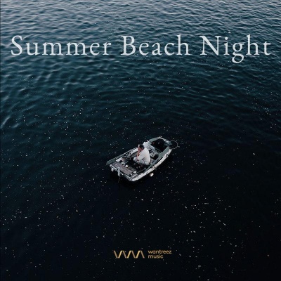 Summer Beach Night