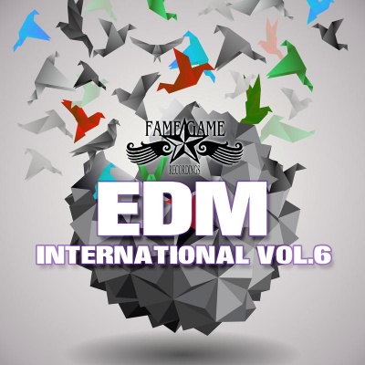 EDM International, Vol. 6