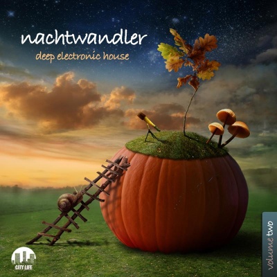 Nachtwandler, Vol. 2 - Deep Electronic House