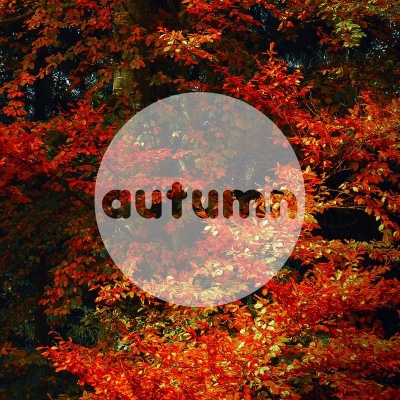 Autumn Leaves