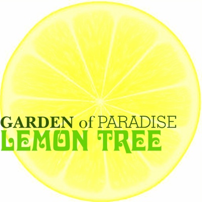 Lemon Tree