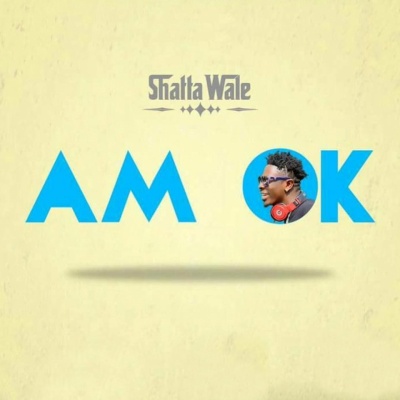 Shatta Wale - Am OK