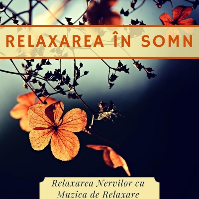 Relaxarea în Somn - Relaxarea Nervilor cu Muzica de Relaxare