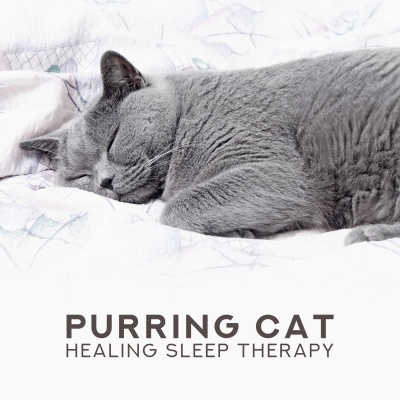 Pet Music Academy - Feel Safe at Home