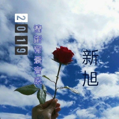 2019清新背景音乐 (DJ版)