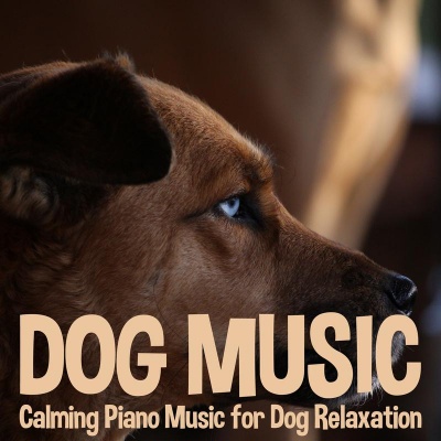 Dog Music: Calming Piano Music for Dog Relaxation