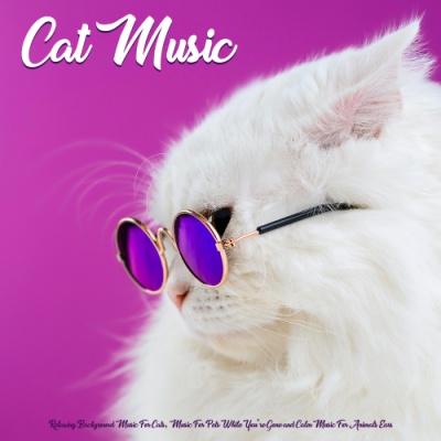 Background Music For Pets While You're Away