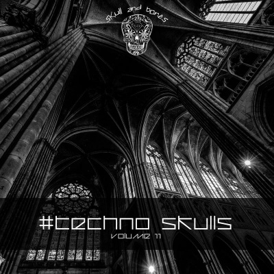 Techno Skulls, Vol. 11