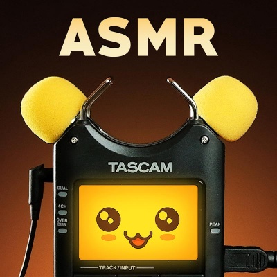 Preview and Introducing Toshi the Tascam