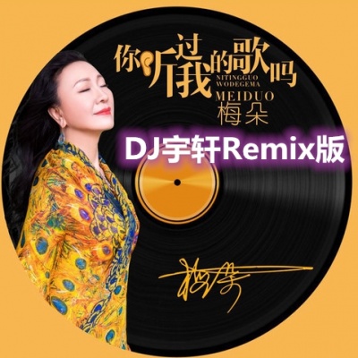 你听过我的歌吗 (DJ宇轩Remix版)