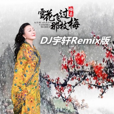 雪花飞过那枝梅 (DJ宇轩Remix版)