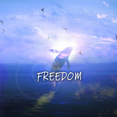 Freedom