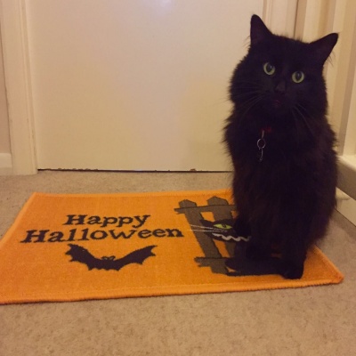 Meoween!