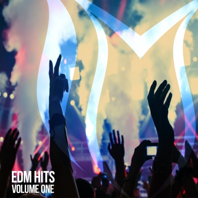 EDM Hits, Vol. 1