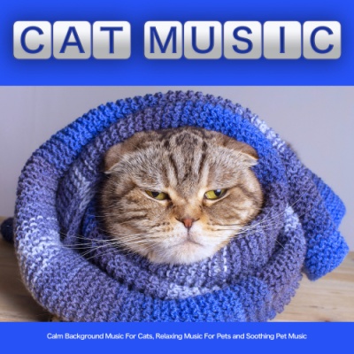 Kitty Cat Music For Cats