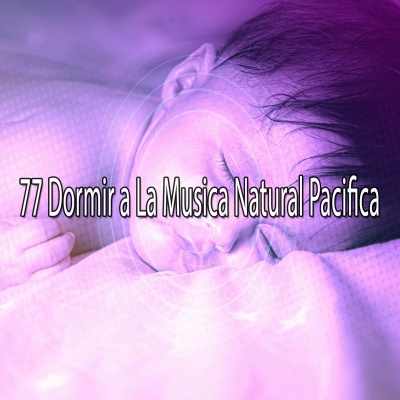 77 Dormir a La Musica Natural Pacifica