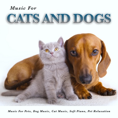 Calm Dog and Cat Music