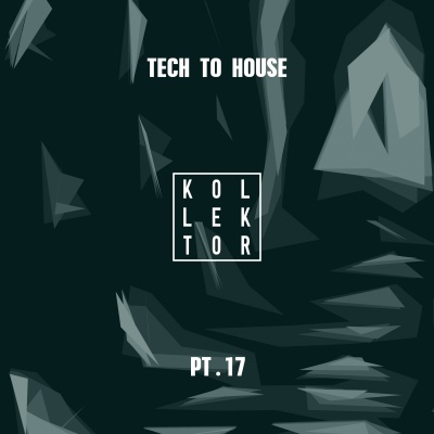 Tech to House Pt. 17