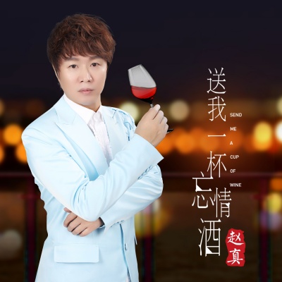 送我一杯忘情酒 (DJ何鹏版)