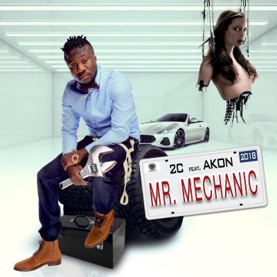 Mr. Mechanic