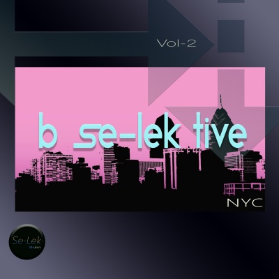 B Se-Lek Tive NYC, Vol. 2