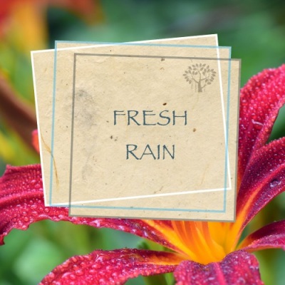 Fresh Rain