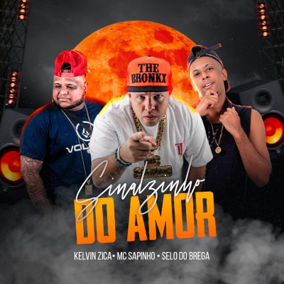 Sinalzinho do Amor (feat. Selo do Brega & Kelvin Zica)