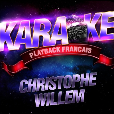 Les succès de Christophe Willem