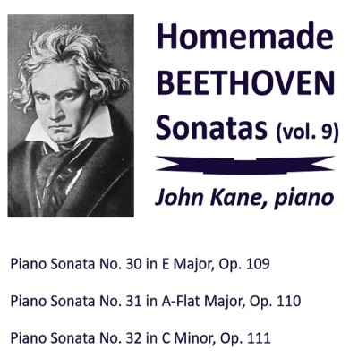 Homemade Beethoven Sonatas, Vol. 9