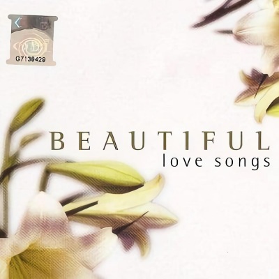 Beautiful Love Songs (美妙的情歌)