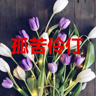 孤苦伶仃