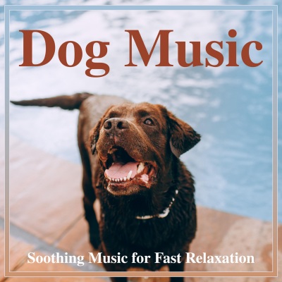 Dog Music Dreams - Raindrops