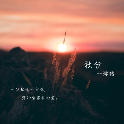 瑞德 - 海日生残夜